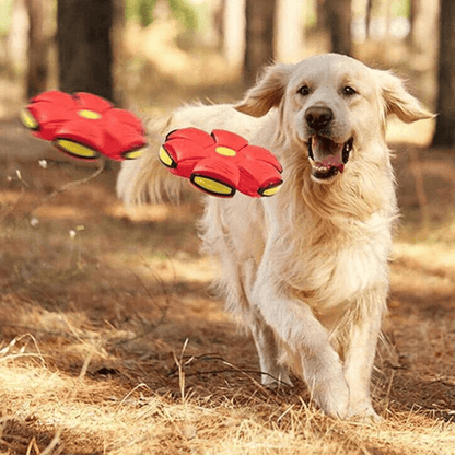 Interactive Flying Dog Toy